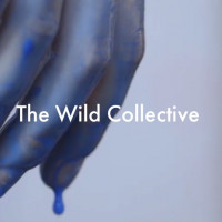 The Wild Collective The Wild Collective