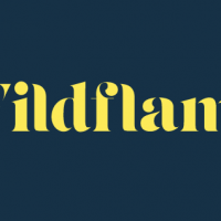 Wildflame Productions Wildflame Productions