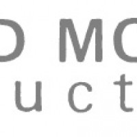 David Modell Productions David Modell Productions